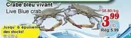 Marche C&T Crabe bleu vivant offer