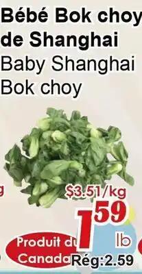 Marche C&T Bébé Bok choy de Shanghai offer
