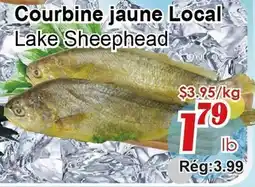 Marche C&T Lake Sheephead offer
