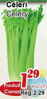 Marche C&T Celery offer