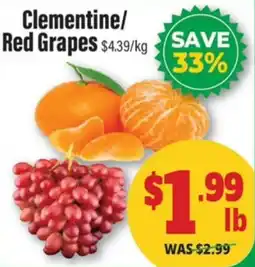 Iqbal Foods Clementine/Red Grapes offer