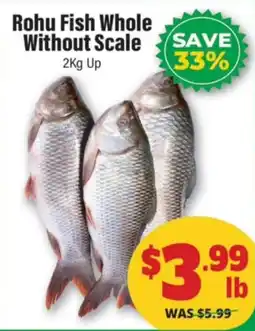 Iqbal Foods Rohu Fish Whole Without Scale offer