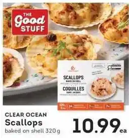 IGA Clear ocean scallops offer