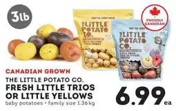 IGA The little potato co. fresh little trios or little yellows offer