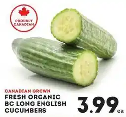 IGA bc long english cucumbers offer