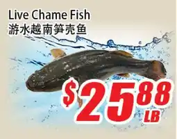 WinCo Food Mart Live Chame Fish offer