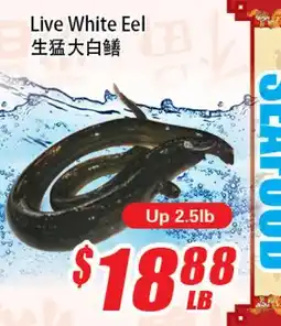 WinCo Food Mart Live White Eel offer
