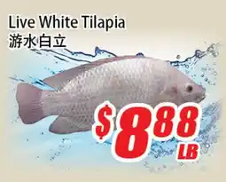 WinCo Food Mart Live White Tilapia offer