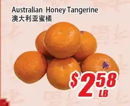 WinCo Food Mart Australian Honey Tangerine offer