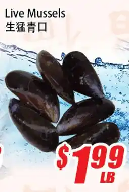 WinCo Food Mart Live Mussels offer