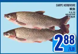 Marché Lian Tai CARPE HERBIVORE offer