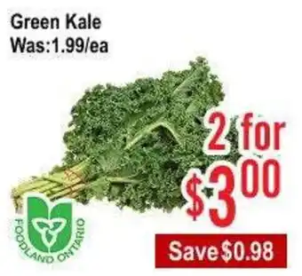 Green Kale