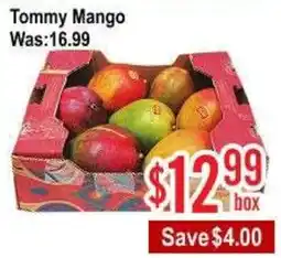 Skyland Foodmart Tommy Mango offer