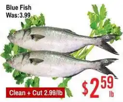 Skyland Foodmart Blue Fish offer