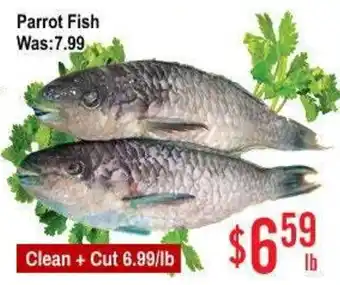 Parrot Fish