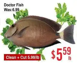 Skyland Foodmart Doctor Fish offer