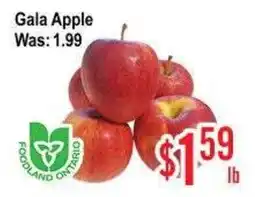 Skyland Foodmart Gala Apple offer