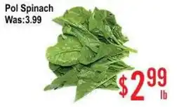 Skyland Foodmart Pol Spinach offer
