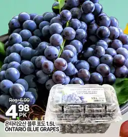 H-Mart ONTARIO BLUE GRAPES offer