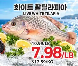 H-Mart LIVE WHITE TILAPIA offer