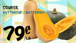 Marche Salaberry COURGE offer