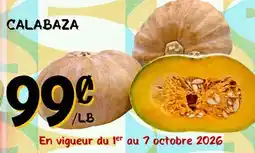 Marche Salaberry CALABAZA offer