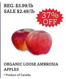 The Big Carrot ORGANIC LOOSE AMBROSIA APPLES offer