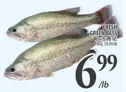 Al Premium Food Mart FRESH GREEN BASS offer