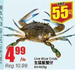 Btrust Supermarket Live Blue Crab offer