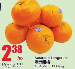 Btrust Supermarket Australia Tangerine offer