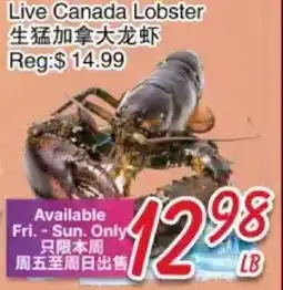 Foody Mart Live Canada Lobster offer