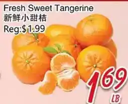 Foody Mart Fresh Sweet Tangerine offer