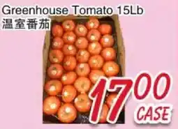 Foody Mart Greenhouse Tomato 15Lb offer
