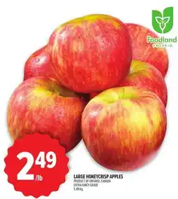Metro LARGE HONEYCRISP APPLES offer