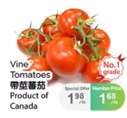 T&T Supermarket VINE TOMATOES offer