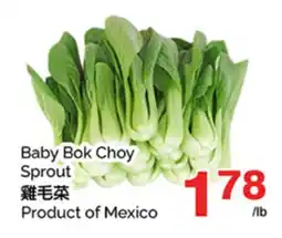 T&T Supermarket BABY BOK CHOY SPROUT offer