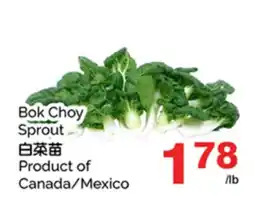 T&T Supermarket BOK CHOY SPROUT offer