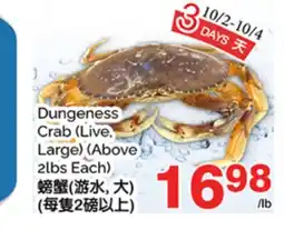 T&T Supermarket DUNGENESS CRAB (LIVE, LARGE) (ABOVE 2LBS EACH) offer