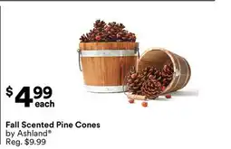Michaels Fall Scented Pine Cones by Ashland offer