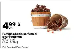 Michaels Pommes de pin parfumées pour l'automne d'Ashland offer