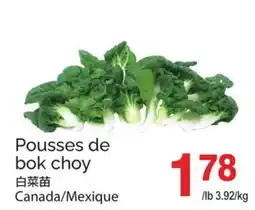 T&T Supermarket Pousses de bok choy offer