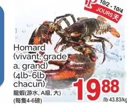 T&T Supermarket HOMARD (VIVANT, GRADE A, GRAND), (4LB-6LB CHACUN) offer