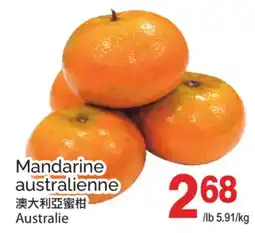 T&T Supermarket MANDARINE AUSTRALIENNE offer