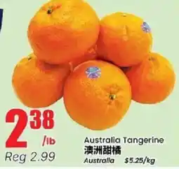 Btrust Supermarket Australia Tangerine offer
