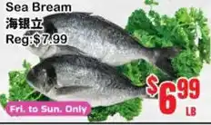 Sea Bream