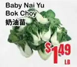 Oceans Fresh Food Market Baby Nai Yu Bok Choy offer