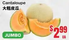 Oceans Fresh Food Market Cantaloupe offer