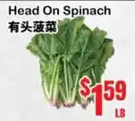 Oceans Fresh Food Market Head On Spinach offer