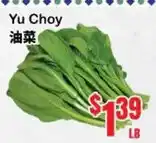 Oceans Fresh Food Market Yu Choy offer