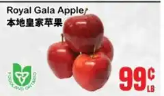 Oceans Fresh Food Market Royal Gala Apple offer